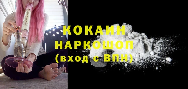 гидра Саяногорск