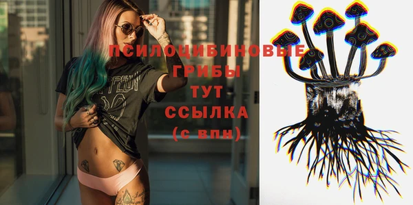 гидра Саяногорск