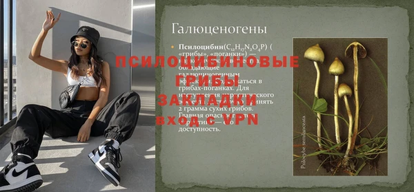 гидра Саяногорск