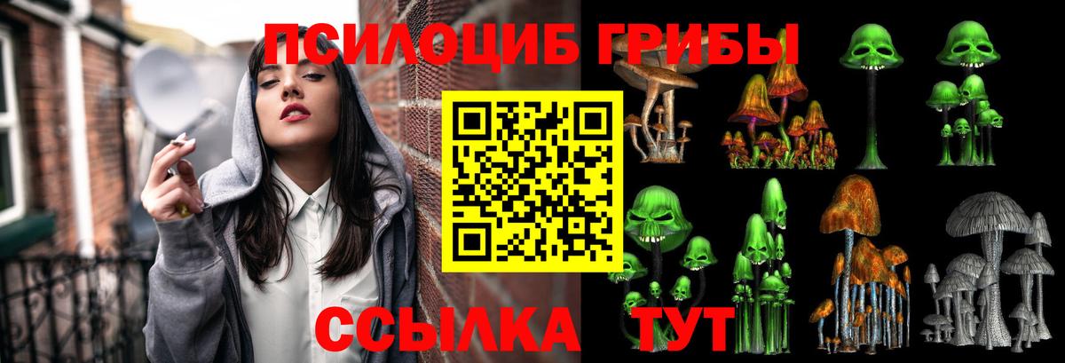 Кызыл  Псилоцибиновые грибы GOLDEN TEACHER  Вход с VPN 